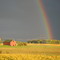 9-06, Huntington, late summer storm