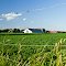 Fenced in Farmland