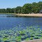 View of Lake Lincoln and lily pads