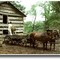 Living Historical Farm - Lincoln Boyhood National Memorial - 1990LJW07