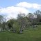 Brian Cemetery