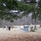 Historic Carmak Cemetery ~1800's