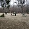Historic Miller Cemetery ~1800's