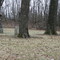 Historic Walnut Hill Cemetery ~1800's
