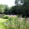 Thousand Trails Preserve Horseshoe Lake IN