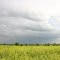 Before the rain...