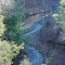 Southview from Turkey Backbone - Pine Hills Nature Preserve