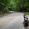Highway 234 in Shades State Park, Indiana