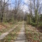 Road west of Hardy Lake SRA