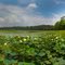 Hardy Lake State Recreation Area