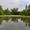 Coldwater River
