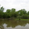 Coldwater River