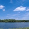 StarveHollow Midday