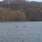 Starve Hollow Lake
