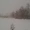 Snowing at the Gourley Manor