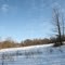 Campo Lindo