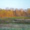 CAMPO LINDO