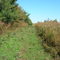 Rabbit Hunter's View