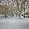 Snow Path
