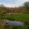 Meacham Grove Forest Preserve Marsh
