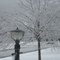 Ice Storm 12/08