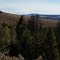 Sunken Forest Landslide