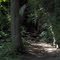 Giant City State Park, GLCT