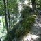 Giant City State Park, GLCT