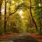 Shawnee National Forest...In Southern Illinois......(1622394350)