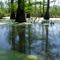 Cache River