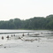 The Spillway by the Dam Bait Shop