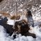 Mountain spring, McDonald Pass, MT