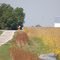 Outside Fisher, IL