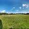 Manary Park