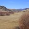 Willow Creek