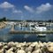 Harbor