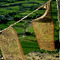 Drapeaux à prières à Leh