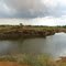 Akhilandapuram Pond