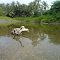 In the eye of Minicoy