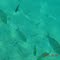 many fishes