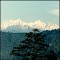 Mt. Kanchendzonga seen from Gangtok, Sikkim - 1994