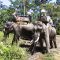 Seismic Elephant Power