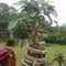 Banyan on block