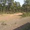 Nearing Sardiha Railway Station