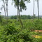 from bus ,while going bishnupur,