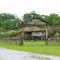 Wave Eco camp at Dibru Soikhowa