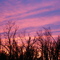 Sunset over Republic
