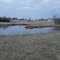Heart Shaped Pond