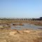 shetruji river amreli ,vismay