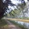Irrigation Canal passing from Baramati